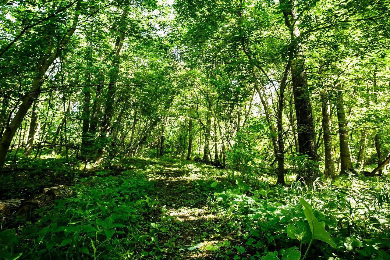 ホテルStrathmere オタワ エクステリア 写真